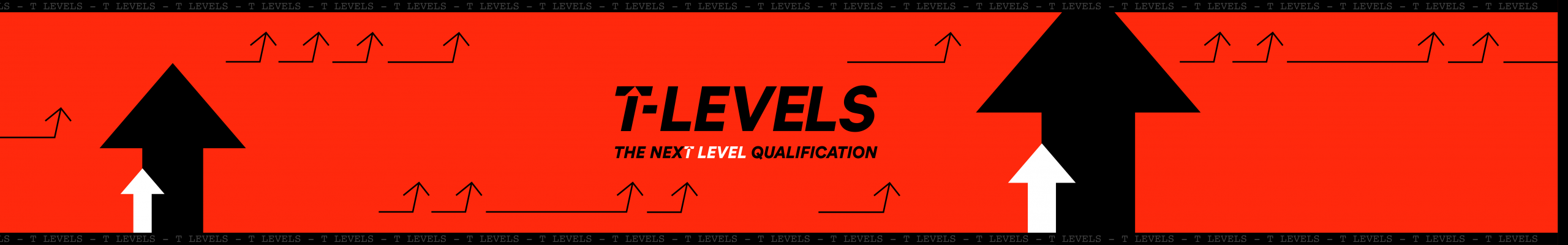 T Levels FAQ – Industry Placements