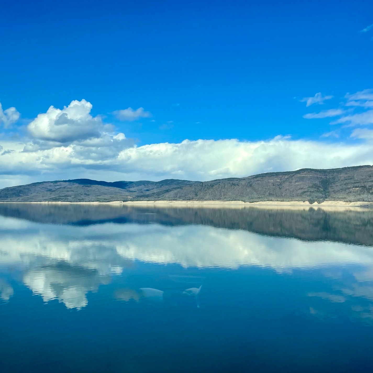 Landscape photo of a lake and blue skies