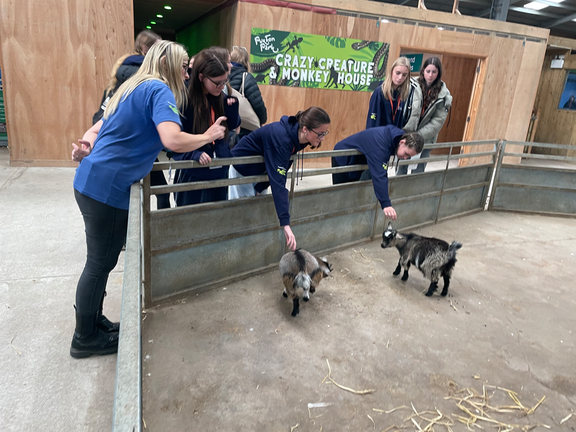 Students stroking the goats at Puxton Park