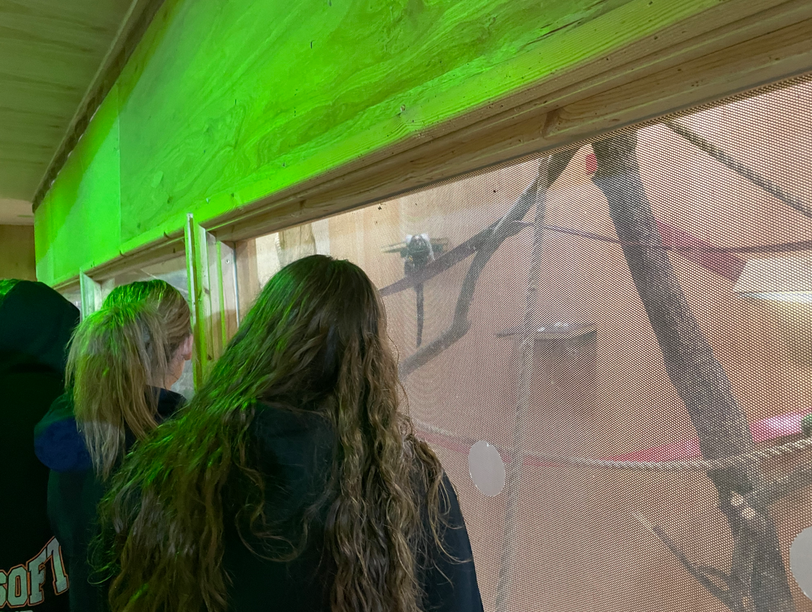 Animal Management students taking a tour of Puxton Park