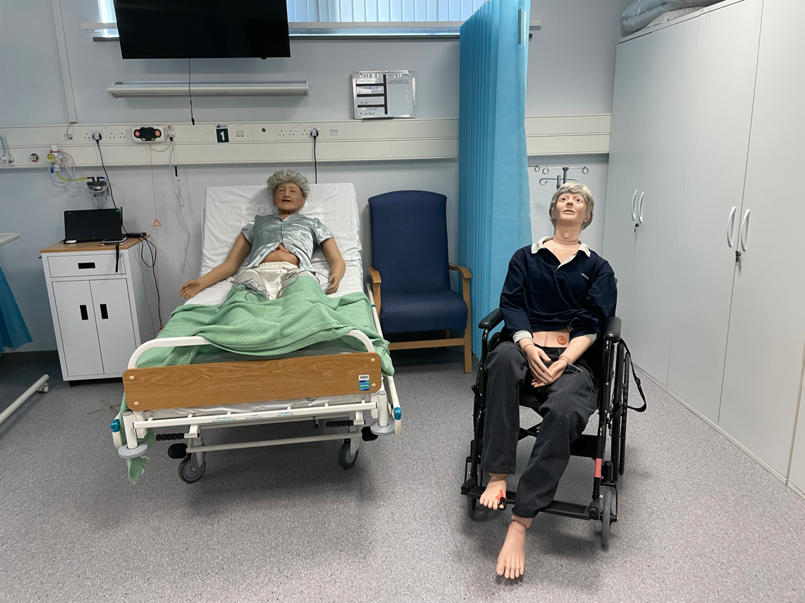 Health & Social Care simulation dummies
