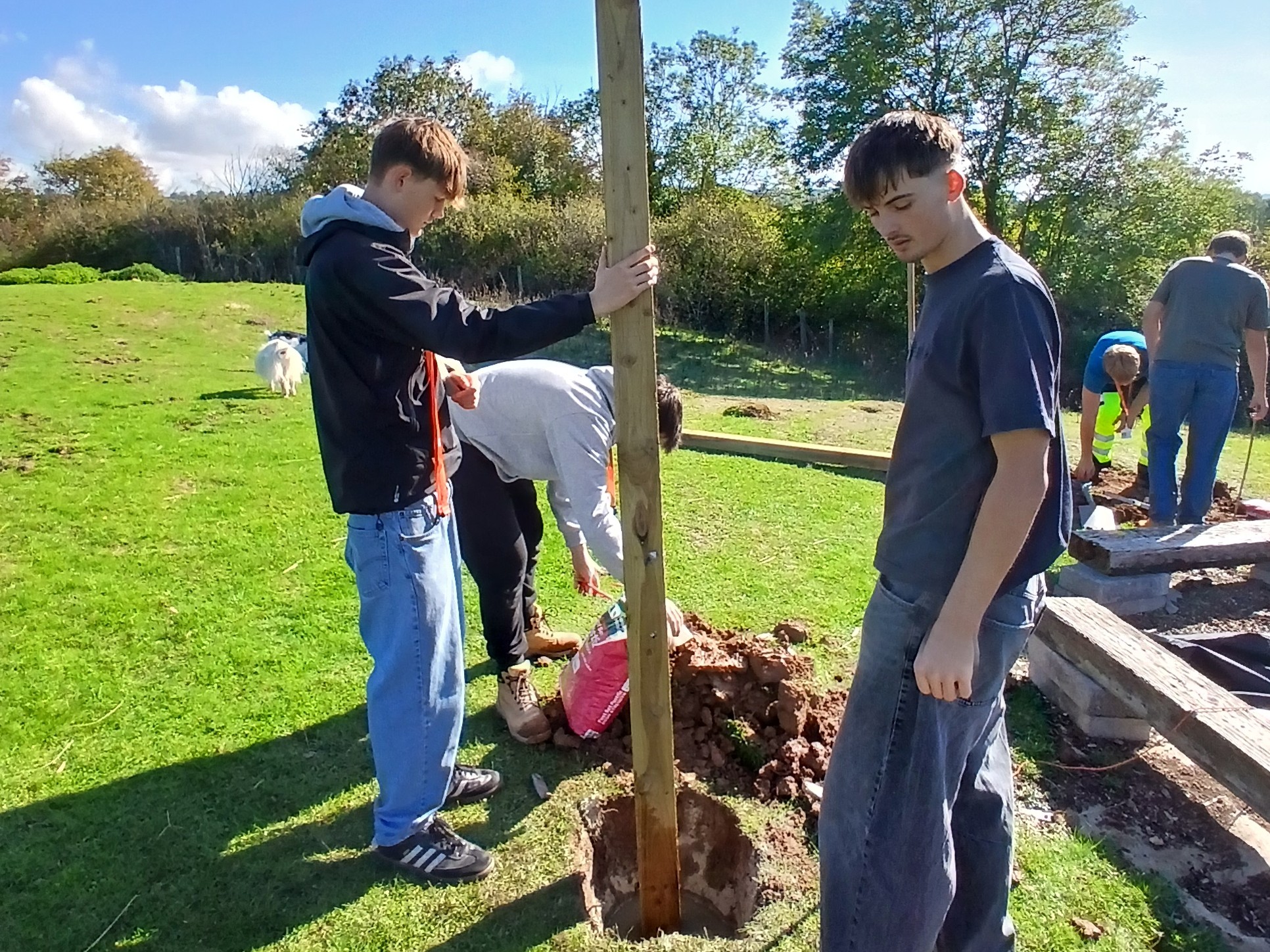 Student holding the wooden post upright in the ground