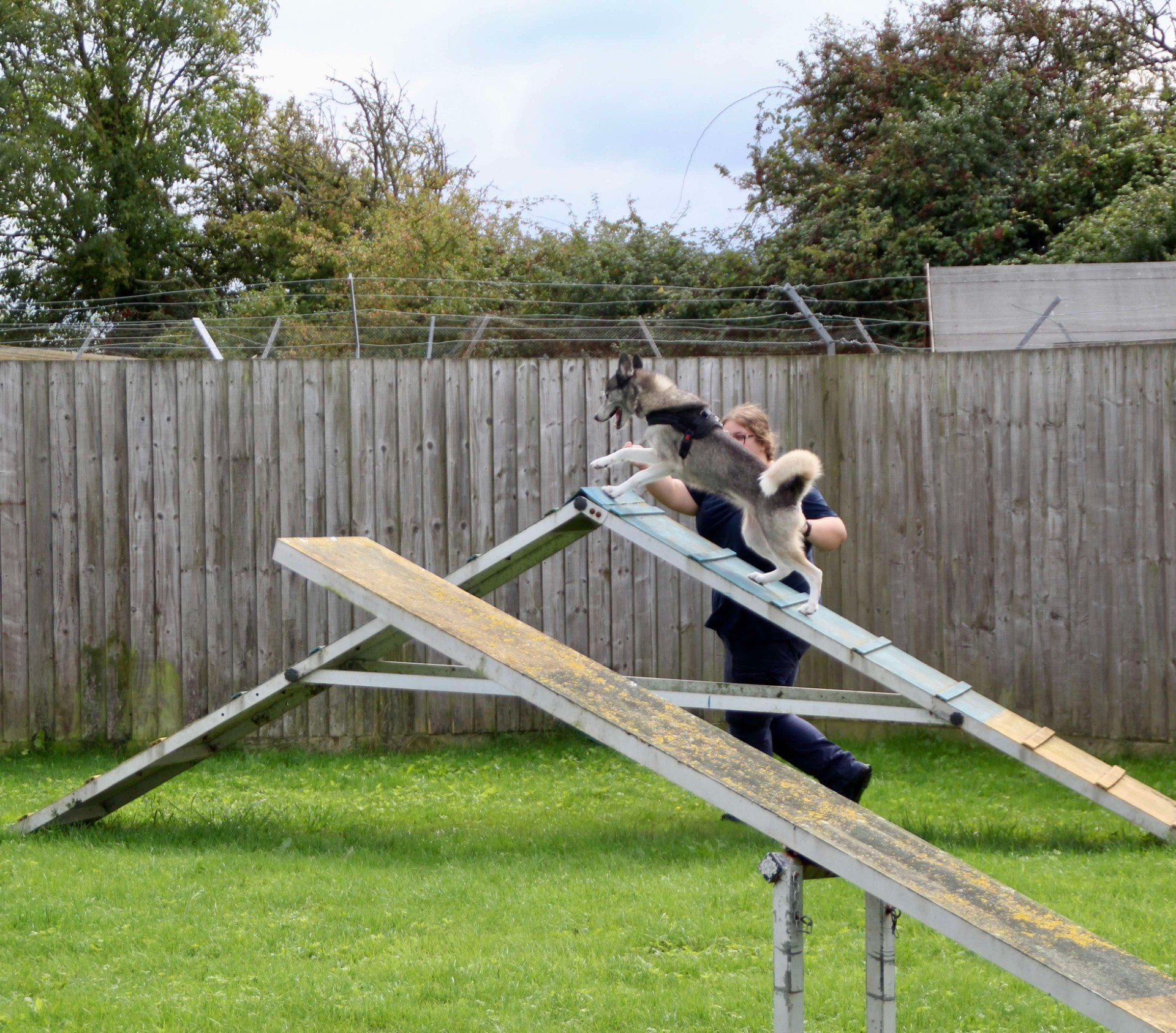 UCW & Weston College to the RSPCA: Grace’s Story