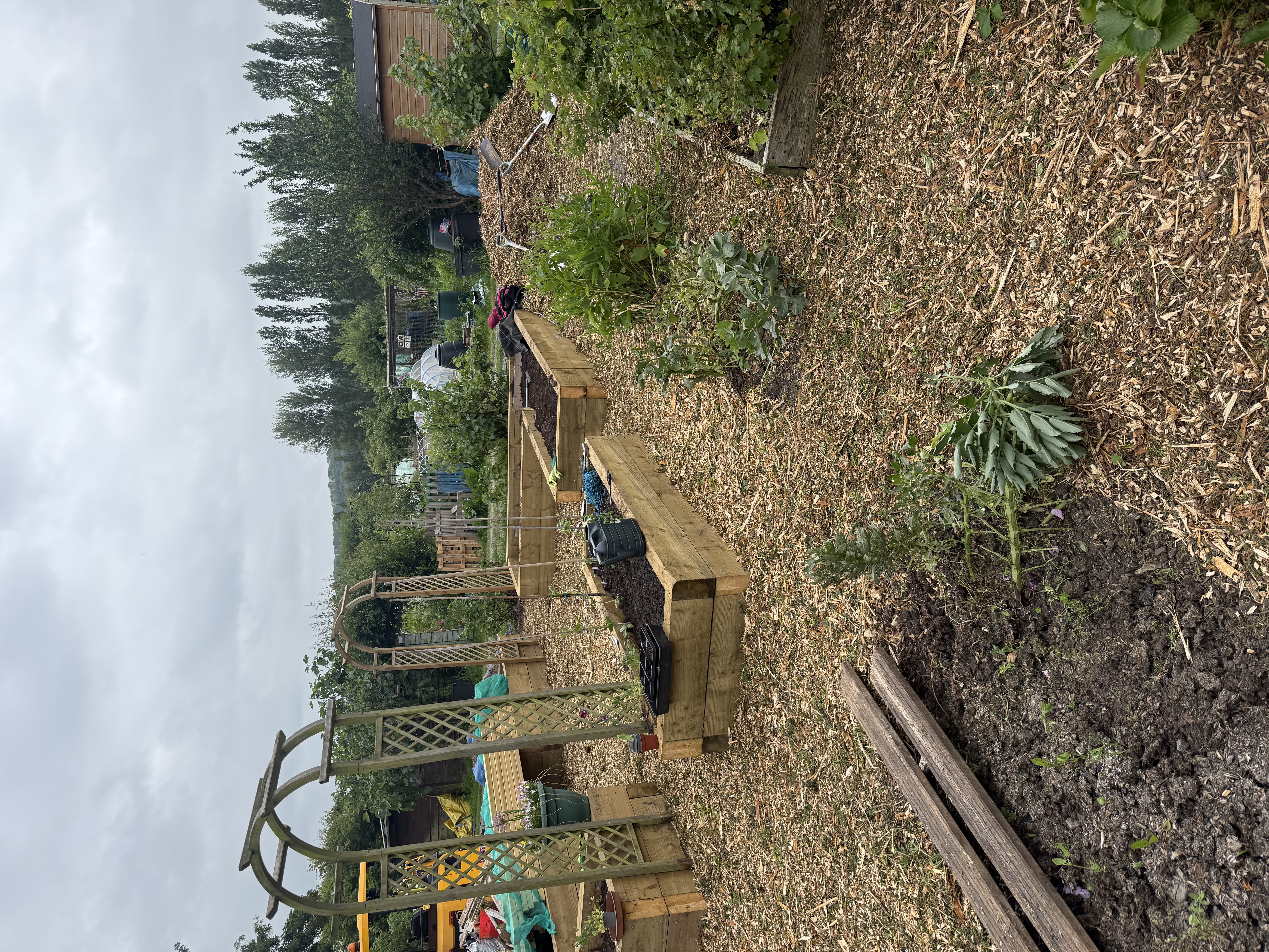 Allotment