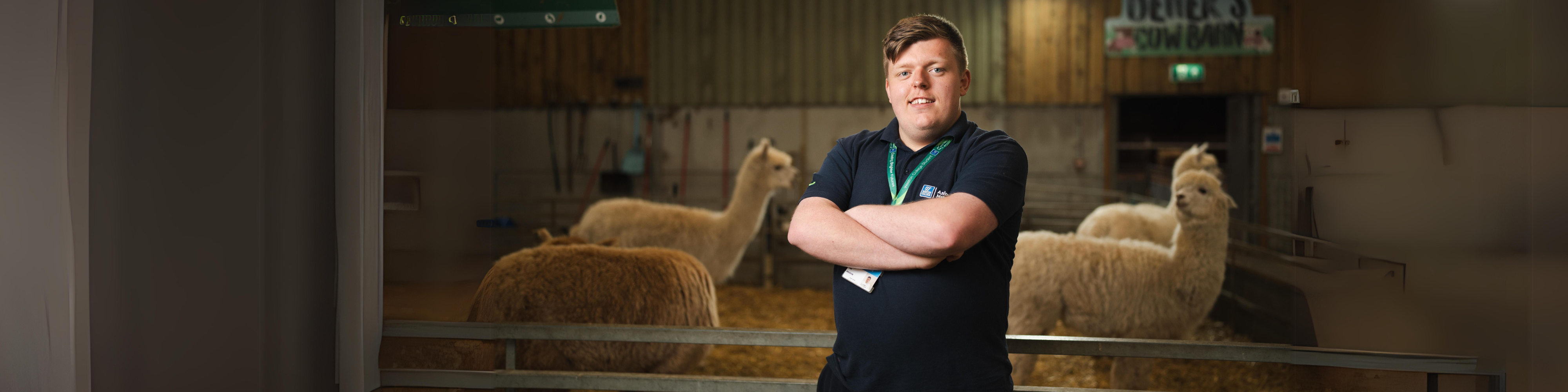 animal management student, declan, standing in front of alpaca pen