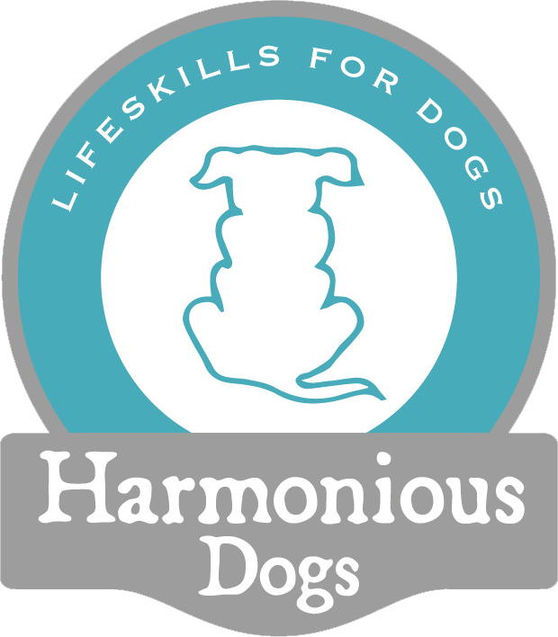 Harmonious dogs logo