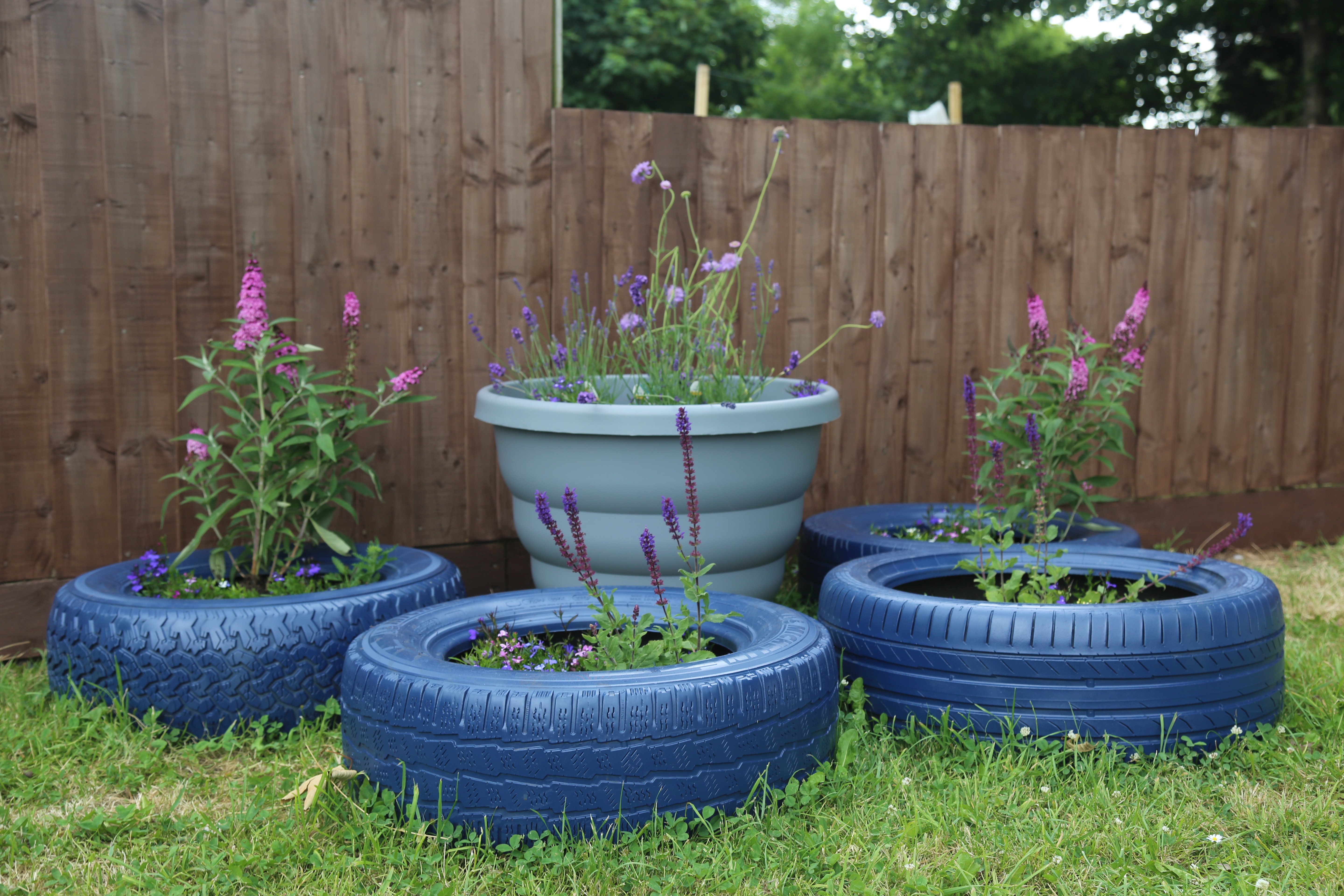 Flowers planted in upcycled tyres