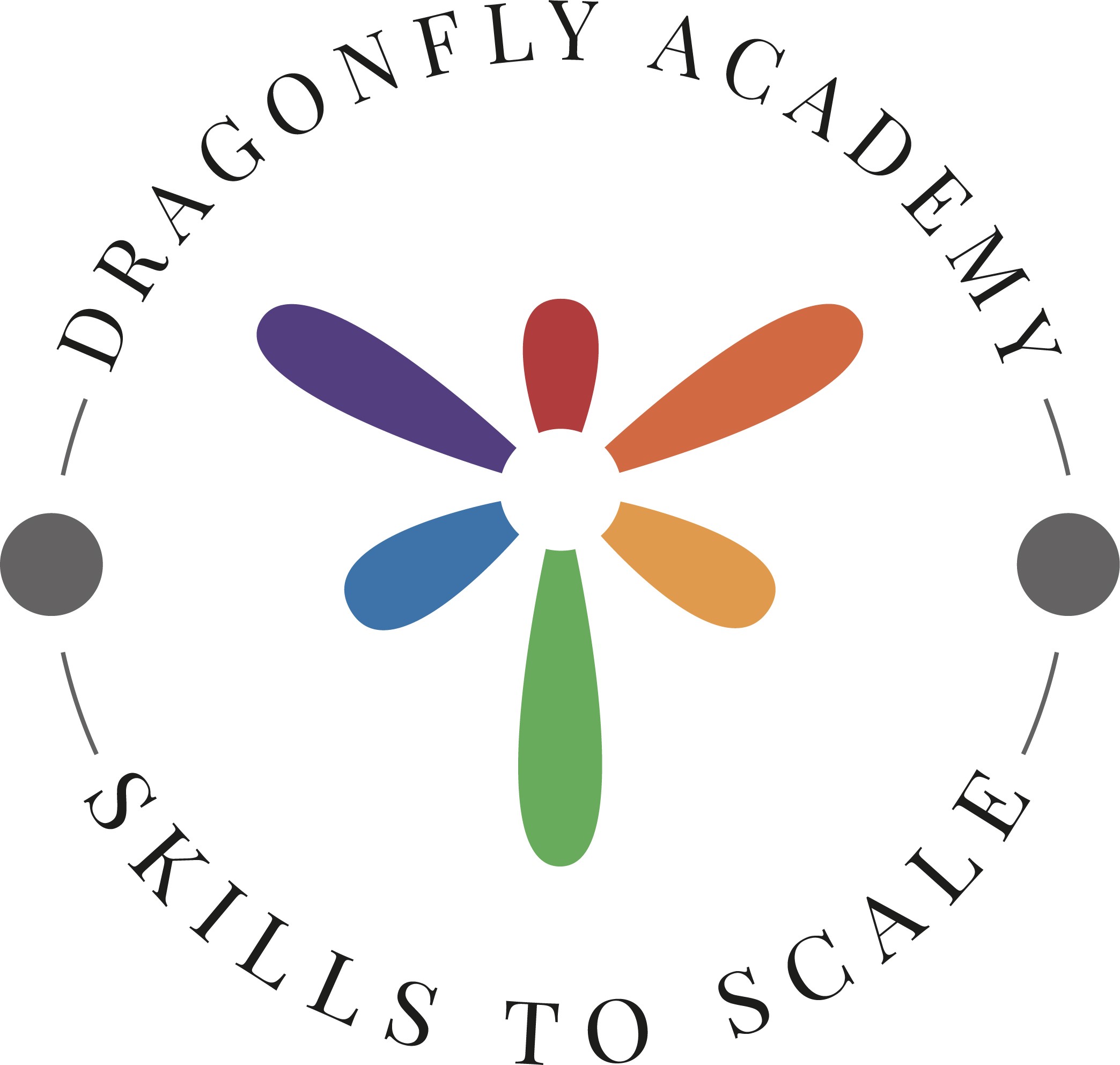 Skills to scale logo