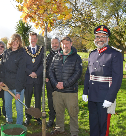 Tree being planted in Taunton