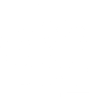 Noahs Ark logo