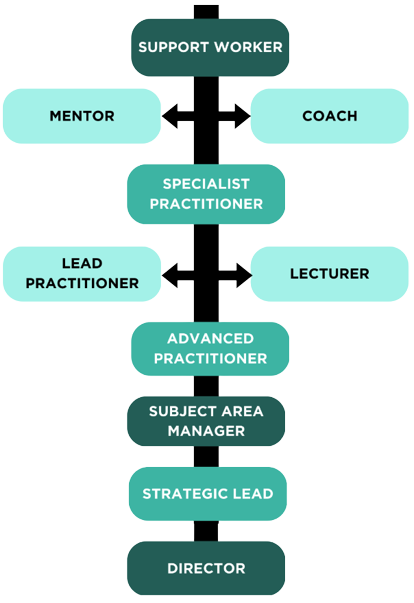 SEND Motivational Career Structure