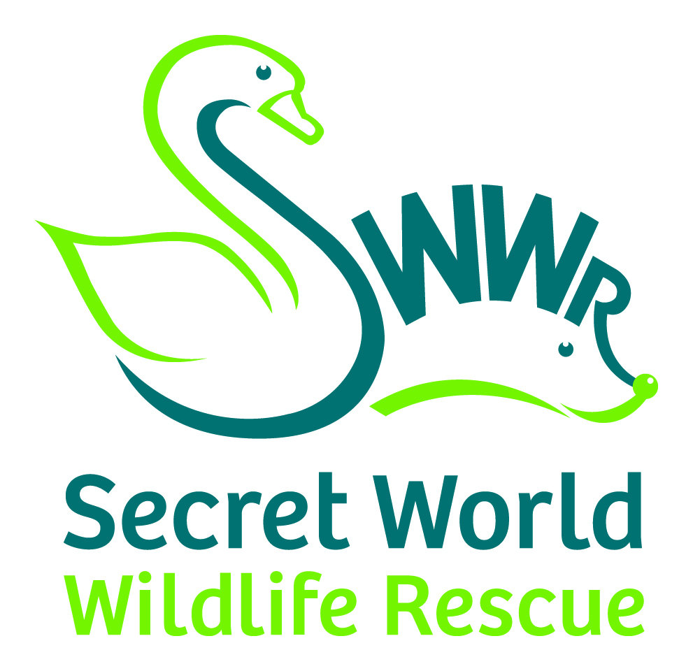 secret world lgog