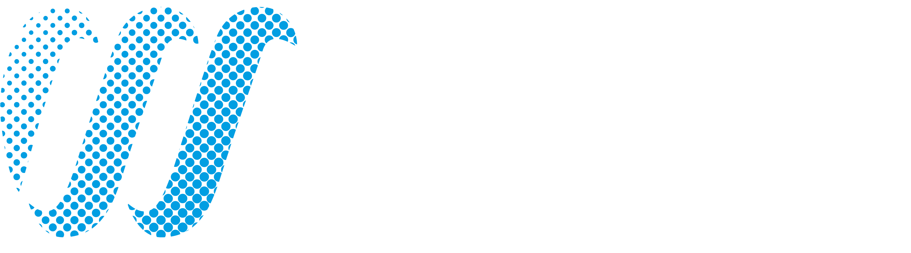 Sport Weston logo