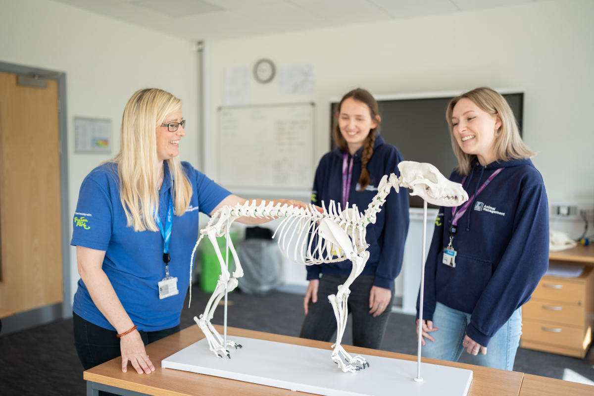 Students examine animal skeleton 