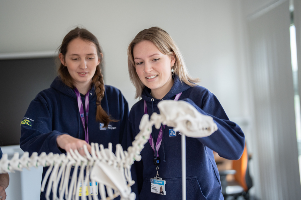 Students examine animal skeleton close up 