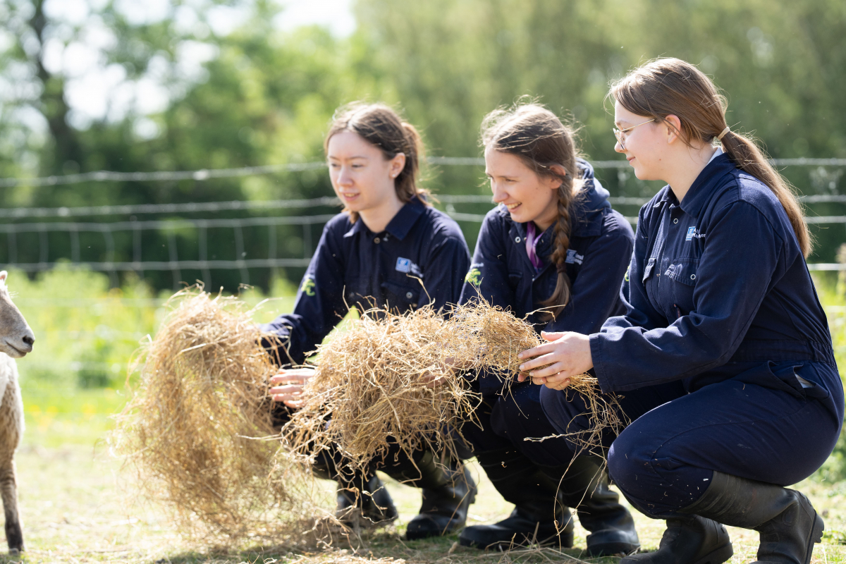 students holding hay 