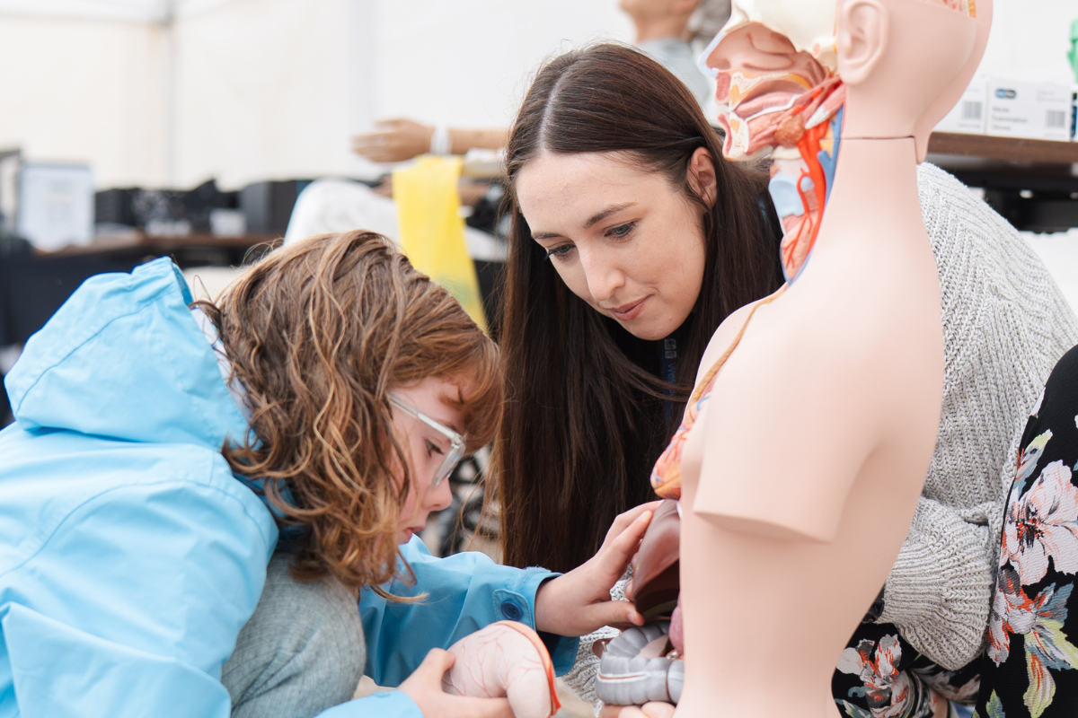 Child looking at health and social care mannequin with staff 