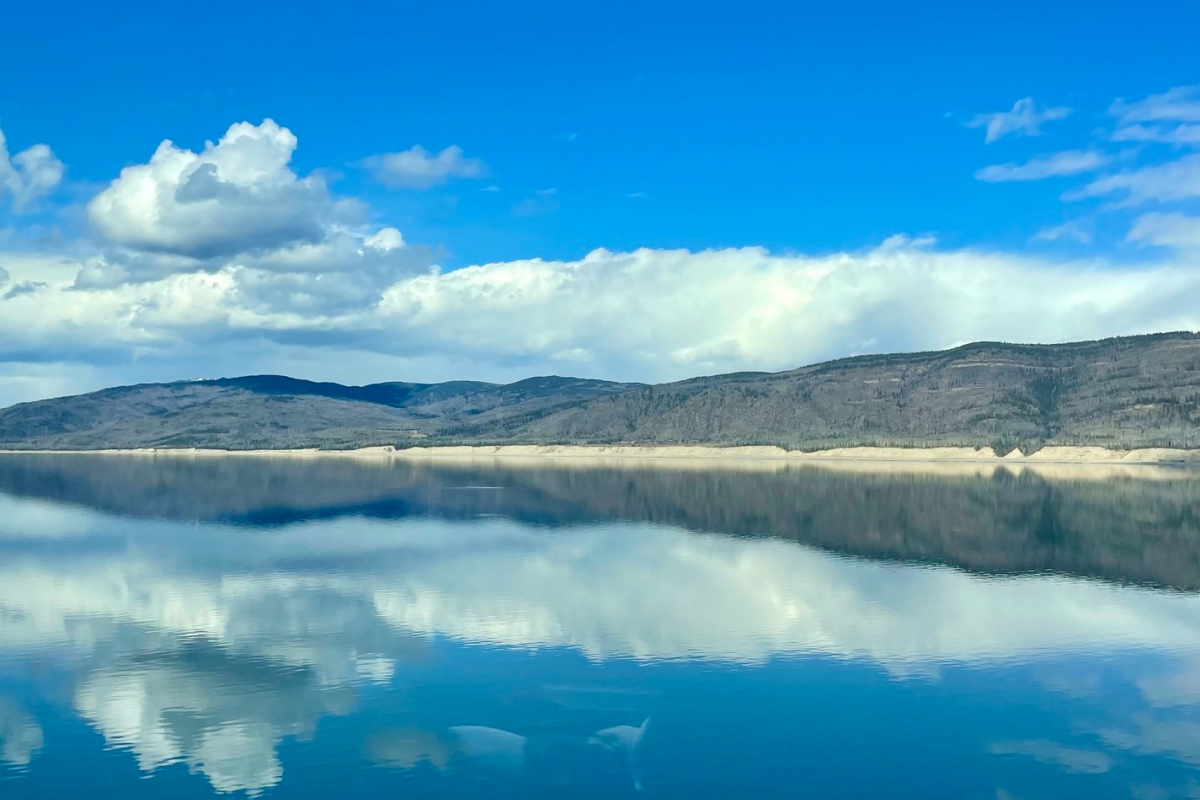 Landscape photo of a lake and blue skies
