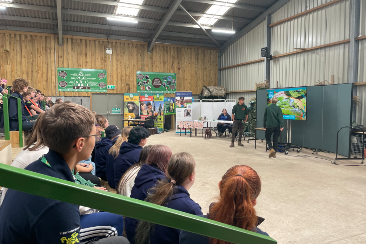 Students sat in the stands listening to the talks 