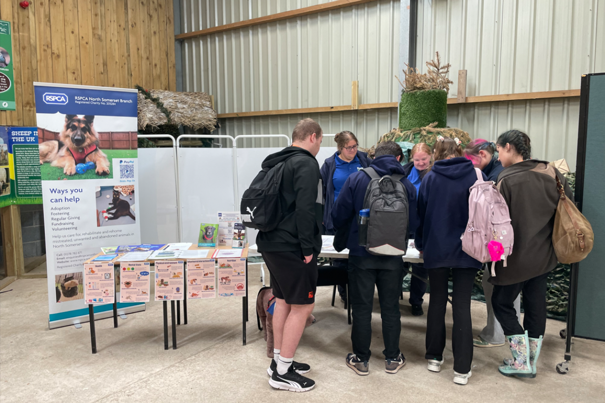 Students talking to employers 