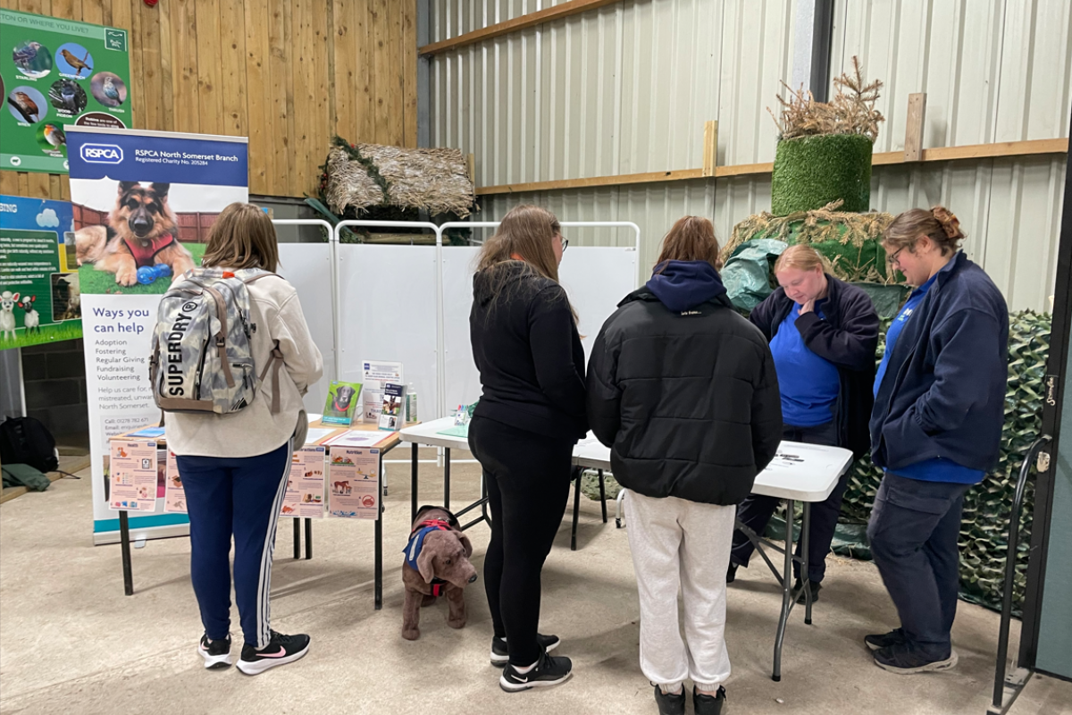 Students talking to employers