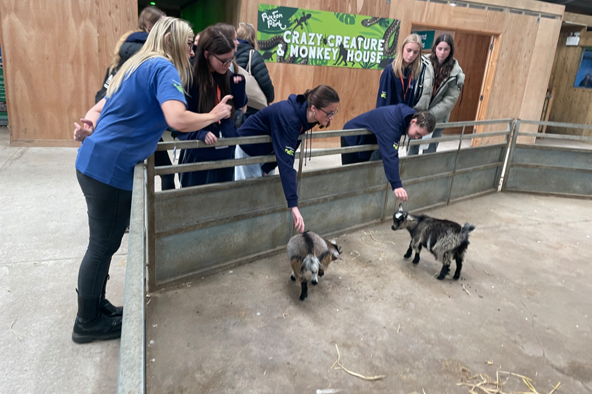 Students stroking the goats at Puxton Park 