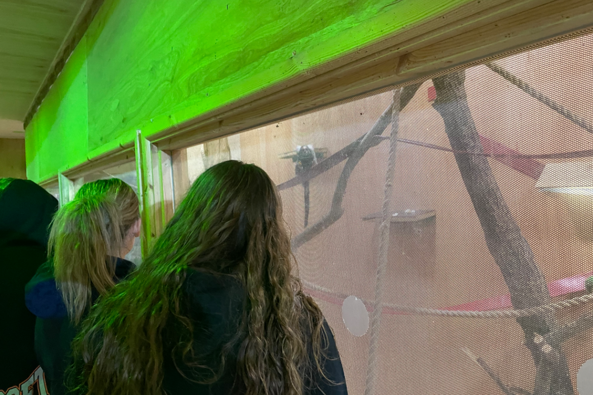 Animal Management students taking a tour of Puxton Park 