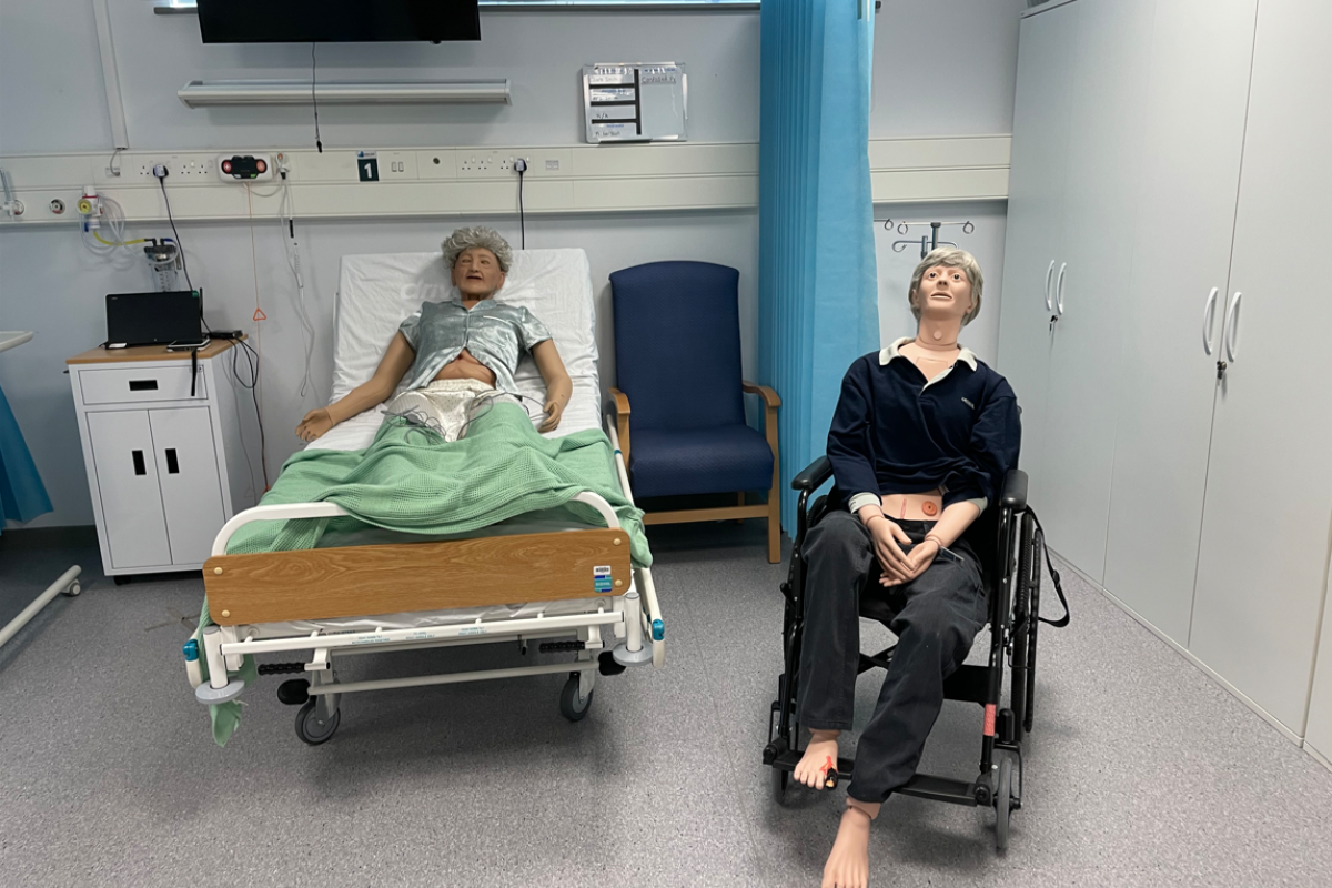 Health & Social Care simulation dummies 