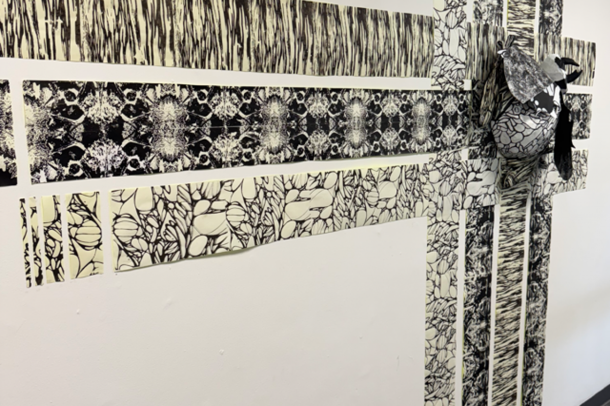 Art & Design students prints on the wall 