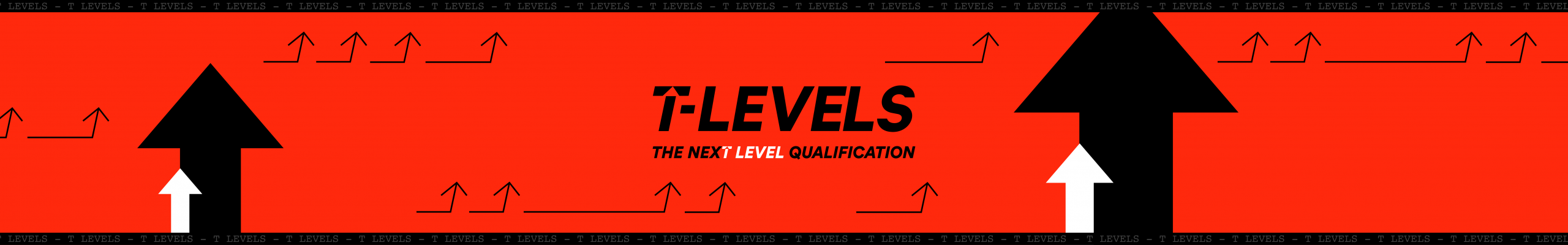 T Levels - The next level qualification