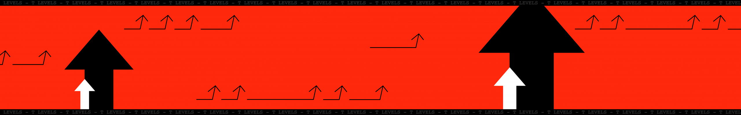 Red T-Level header