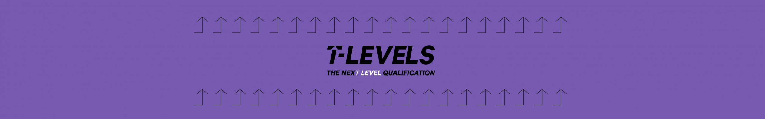 T Levels - The next level qualification