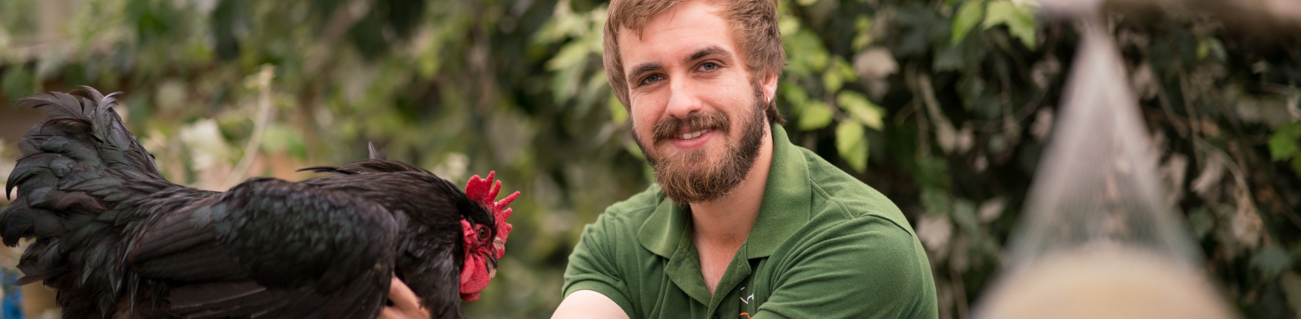 Weston College, Further Education for 16-18 year olds