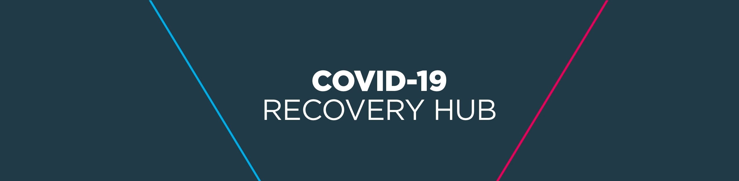 Covid 19 Recovery Hub