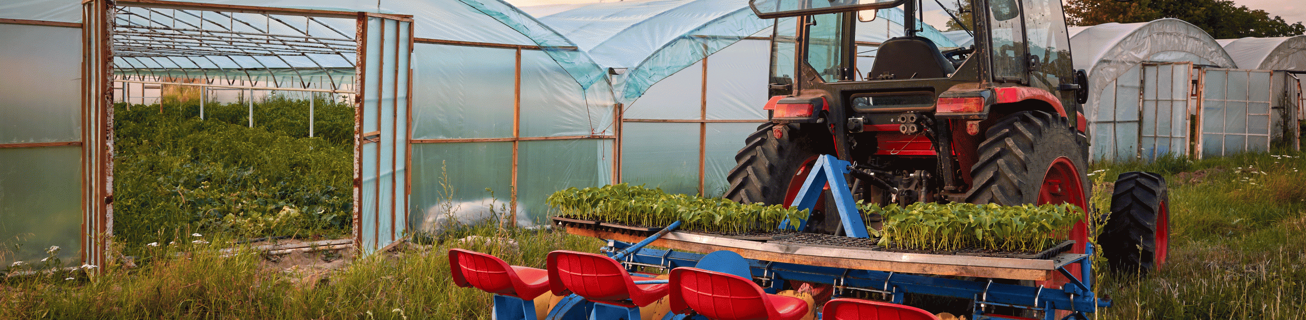 Farm to Fork Experience