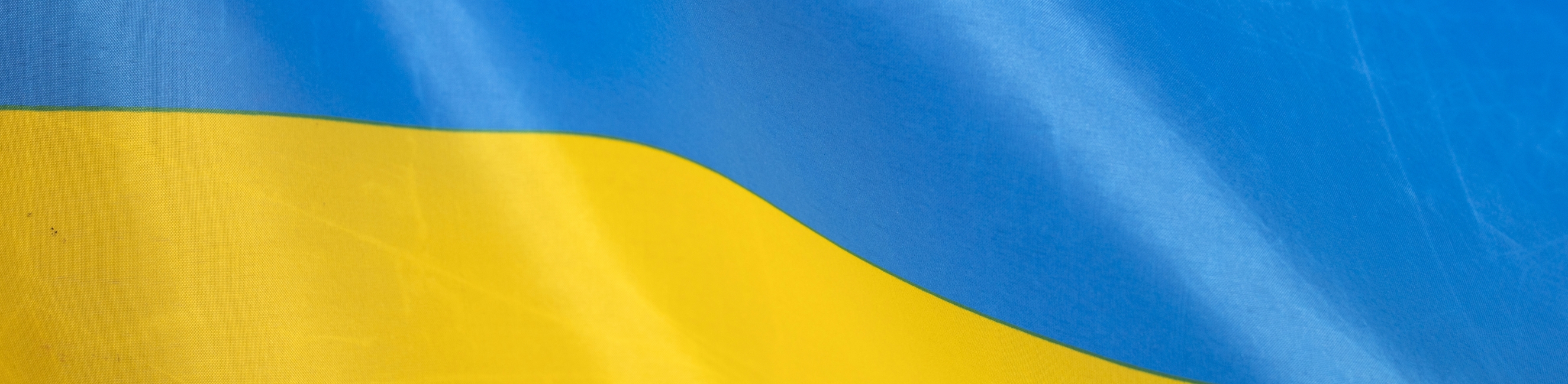 the Ukraine National Flag