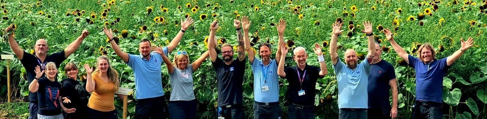 Staff cheering in front of sun flower field
