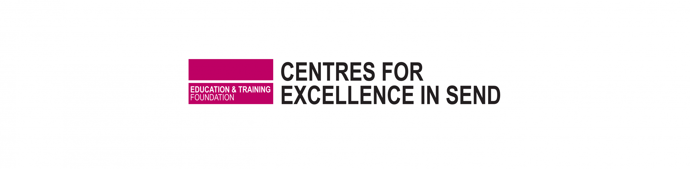 Centres for Excellence in SEND logo on a white background