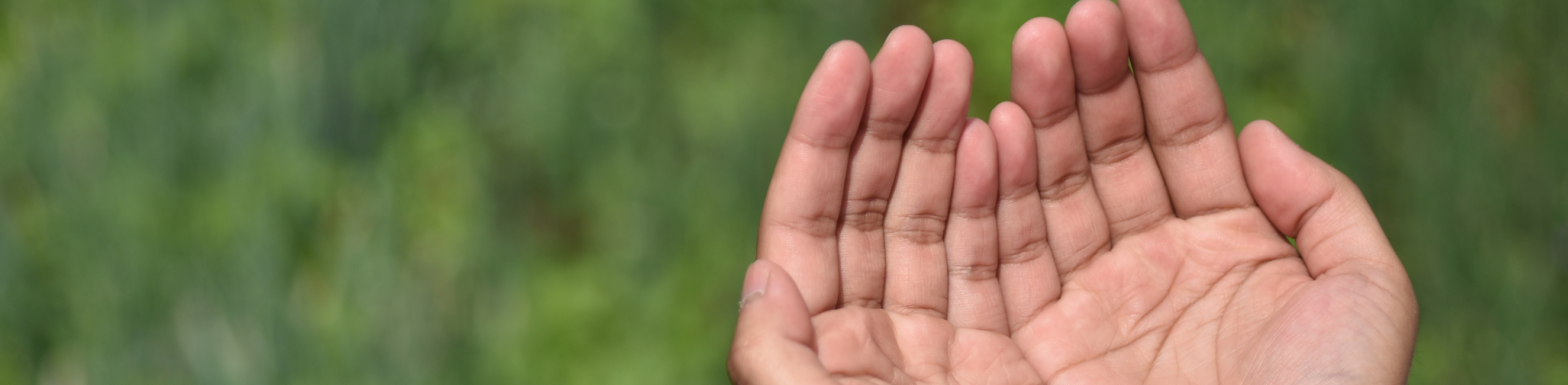 Two hands together praying