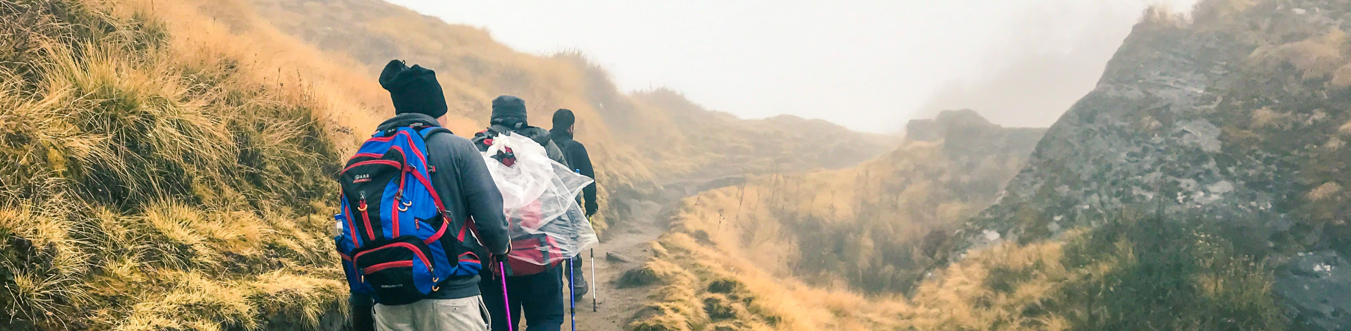 Students trekking on a mountain