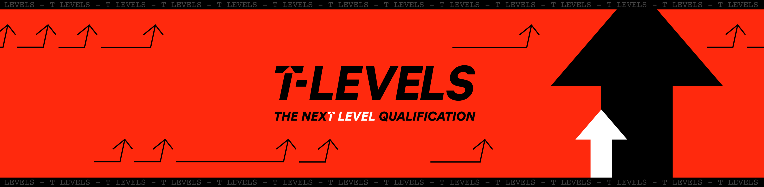 T Level - the Next Level Qualification header