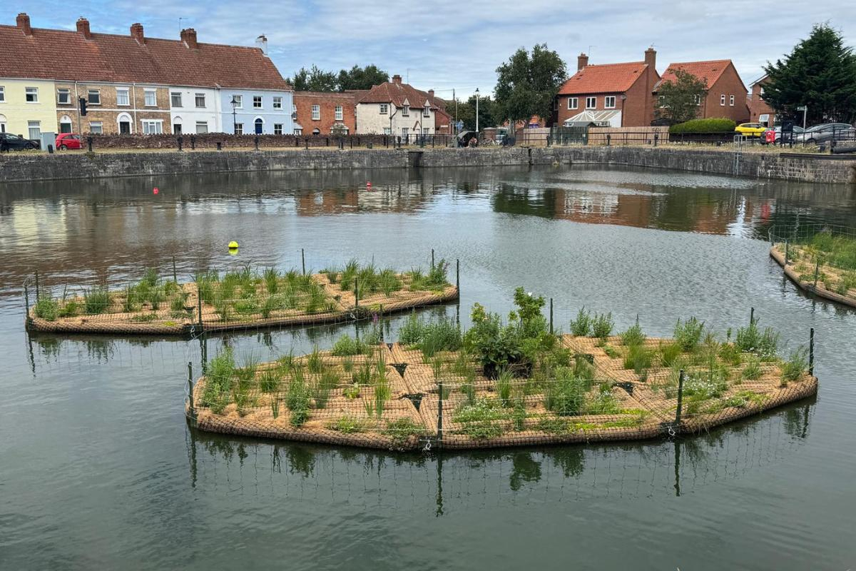 Floating Dock with Shrubs on 