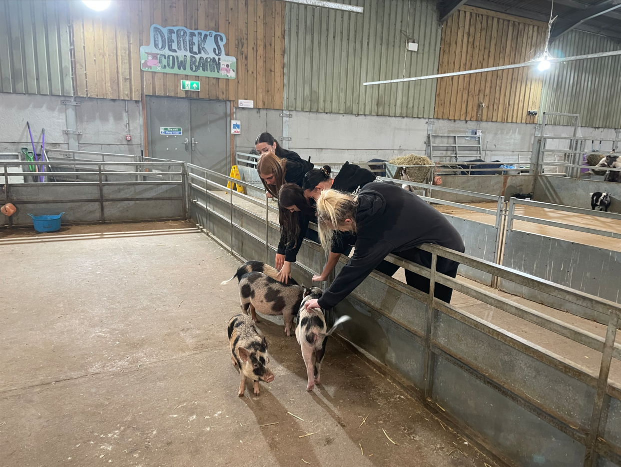 Students stroking the piglets at Puxton Park