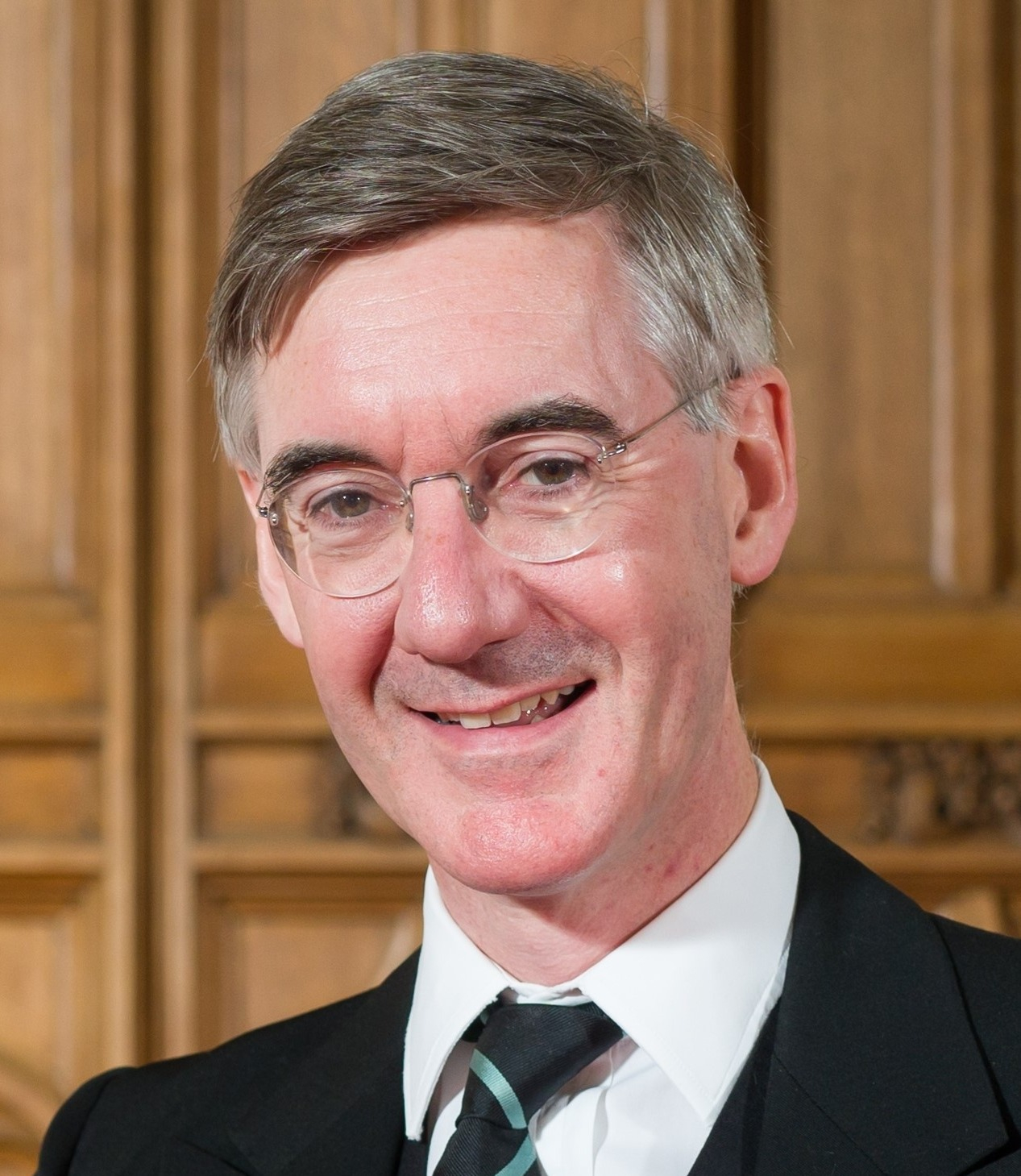 Sir Jacob Rees-Mogg portrait