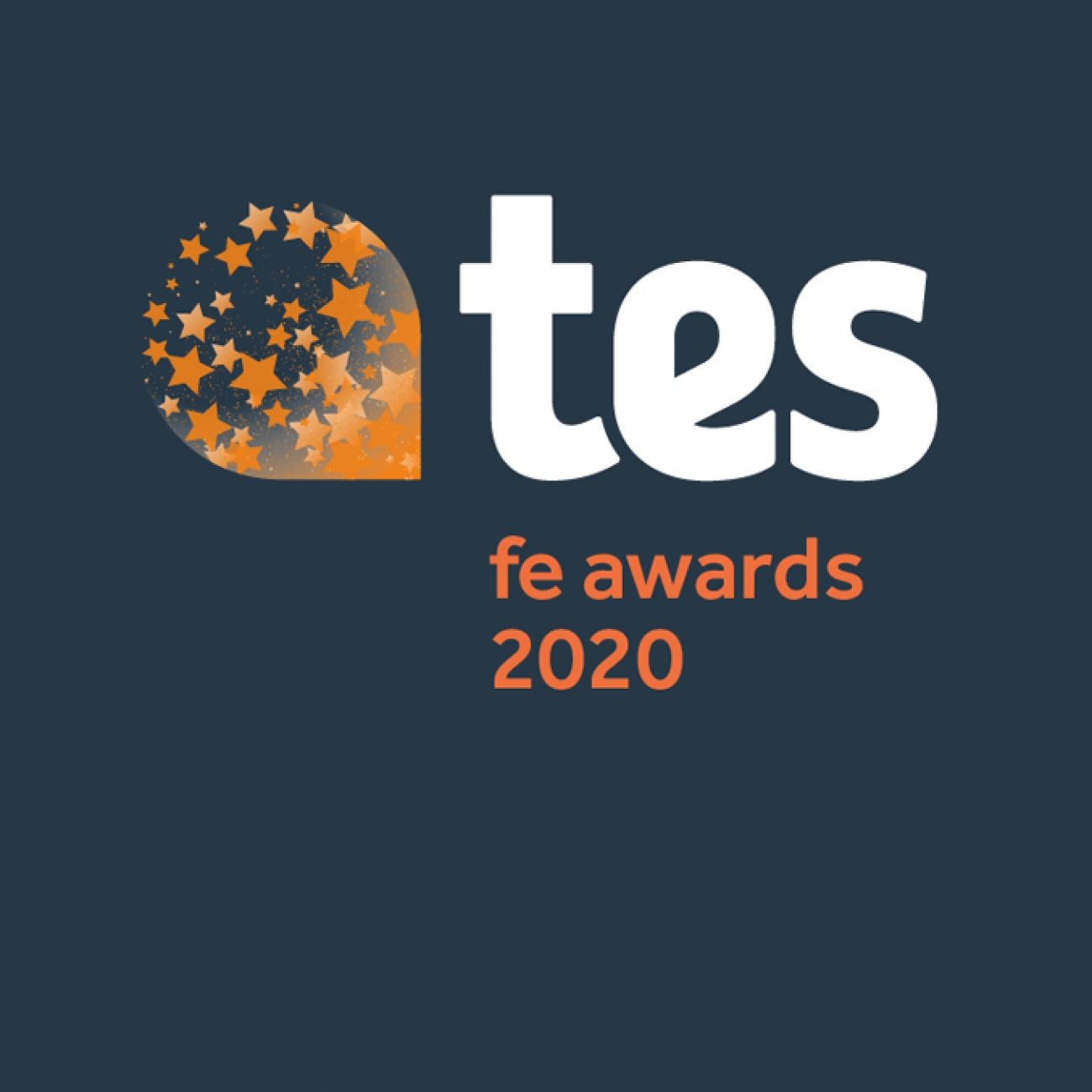 Tes Logo