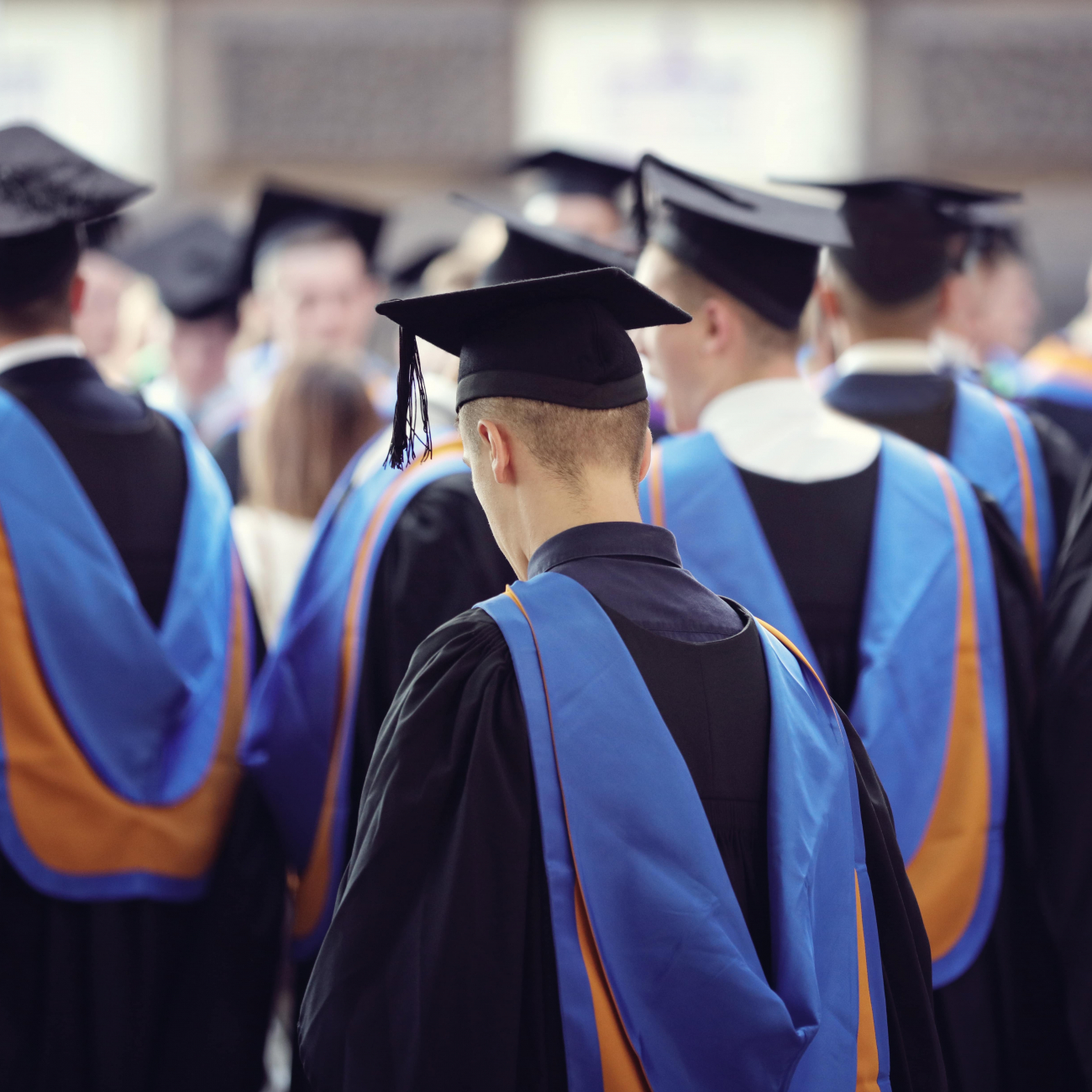 photo of the back of  a group of university learners in black, blue and orange graduation gowns 