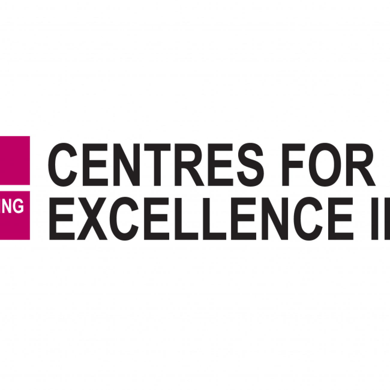 Centres for Excellence in SEND