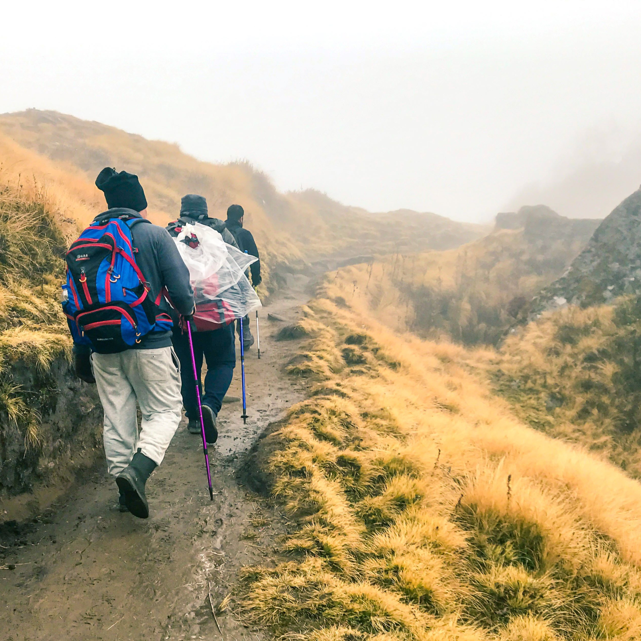 Students trekking on a mountain