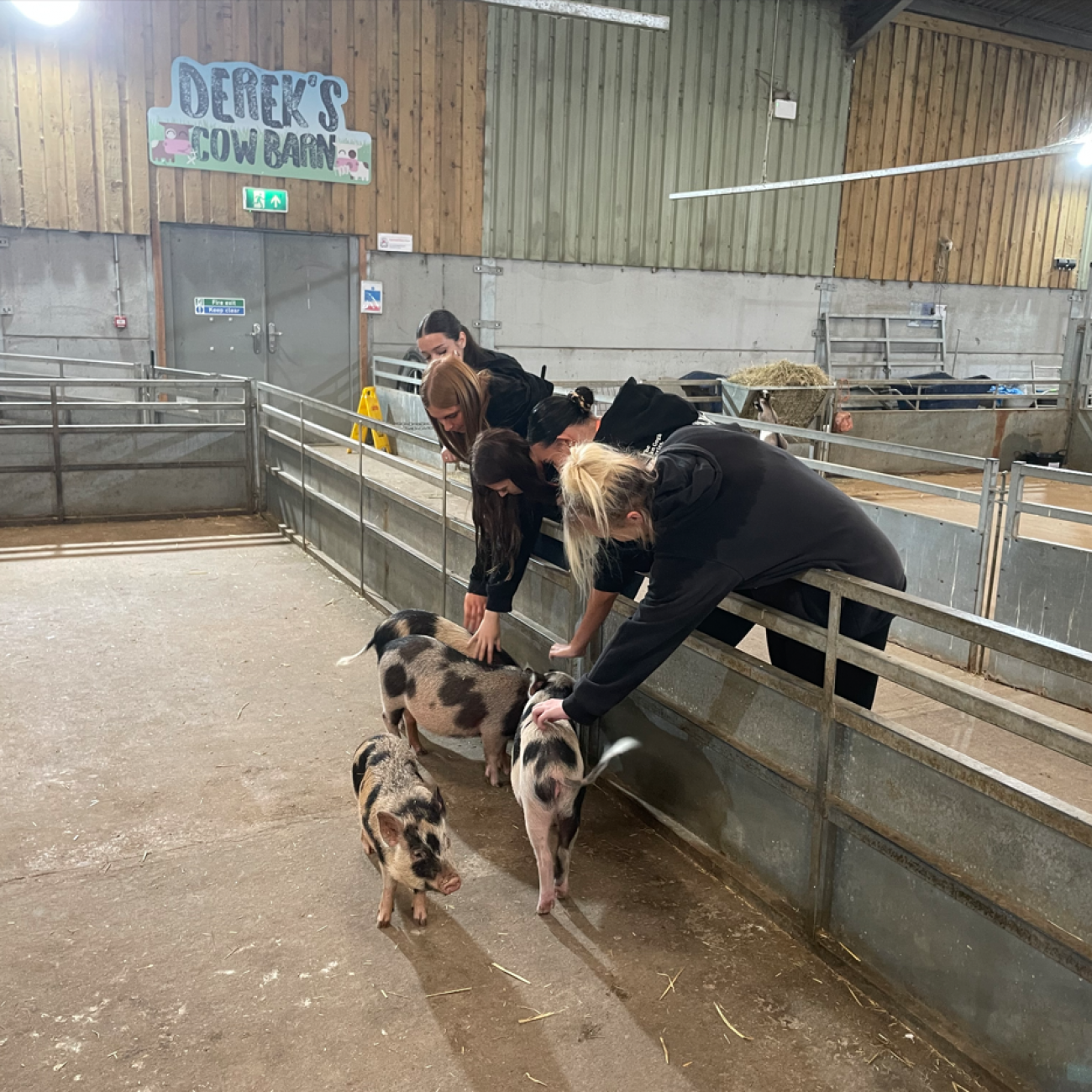 Students stroking the piglets at Puxton Park