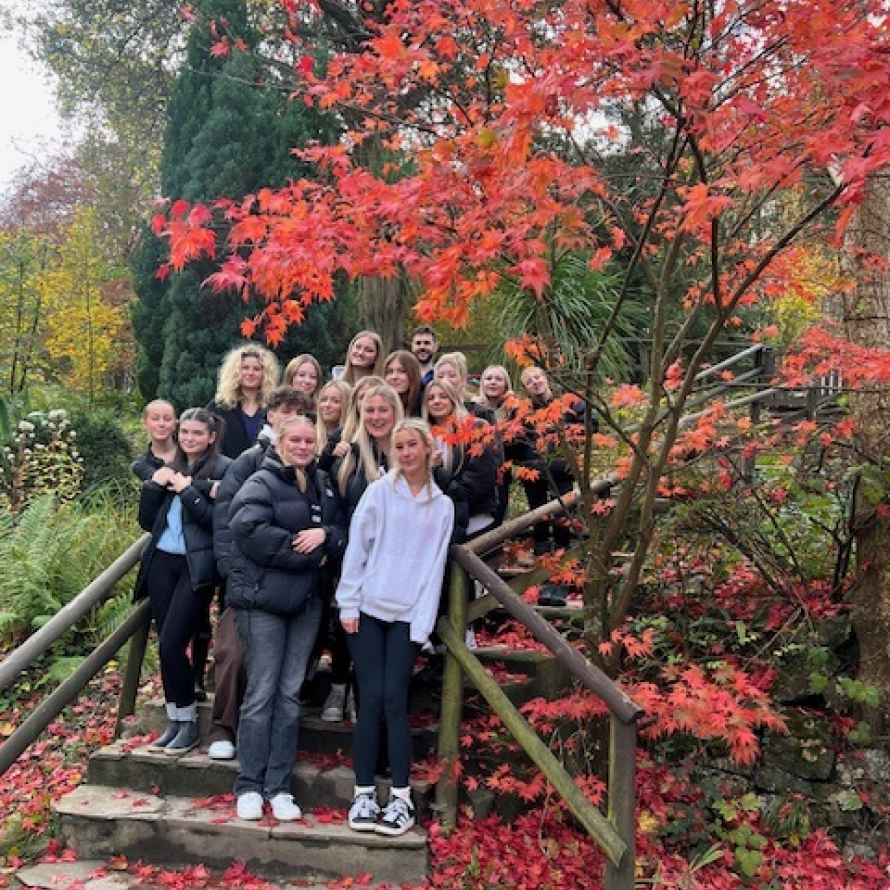 Travel and Tourism students standing and smiling on steps in front of a tree